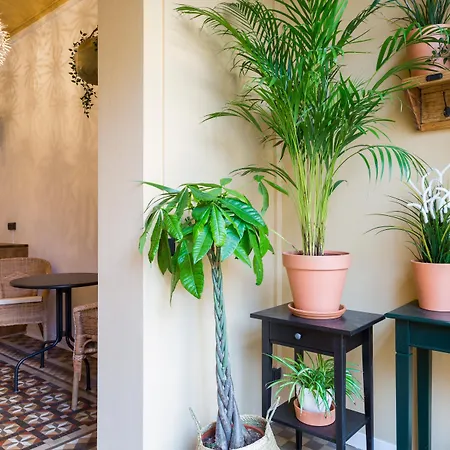 Casa Maca Bed and breakfast 2*