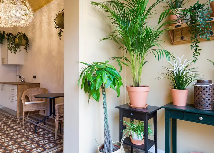 Casa Maca Bed and breakfast 2*