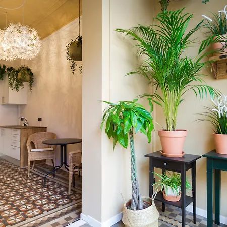 住宿加早餐酒店 卡萨玛卡宾馆 巴塞罗那