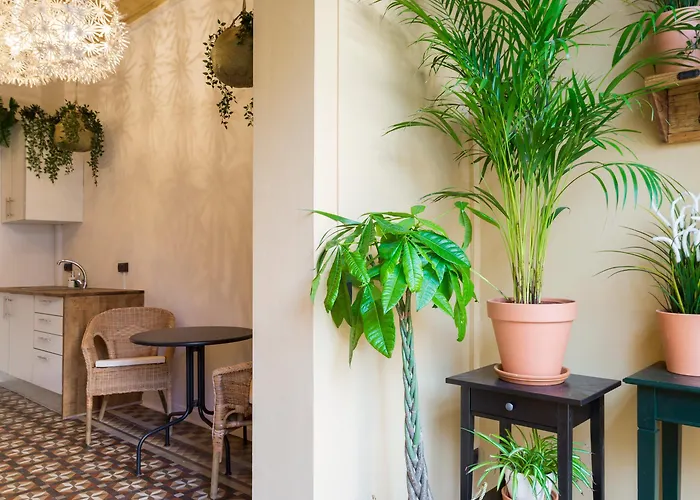 לינה וארוחת בוקר Casa Maca ברצלונה